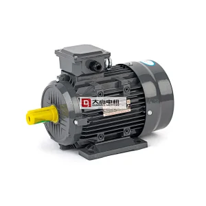 30HP/22KW YE2-180M-2 High Efficiency Three-Phase Asynchronous Electric Motor
