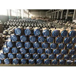 Ye2/Ye3 30kw Three-Phase Asynchronous Squirrel-Cage Cast Iron Induction Electric Motor