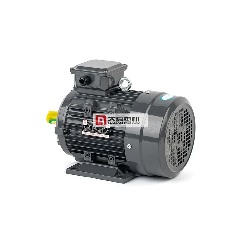 0.75HP/0.55KW YE2-71m2-6 High Efficiency Three-Phase Asynchronous Electric Motor
