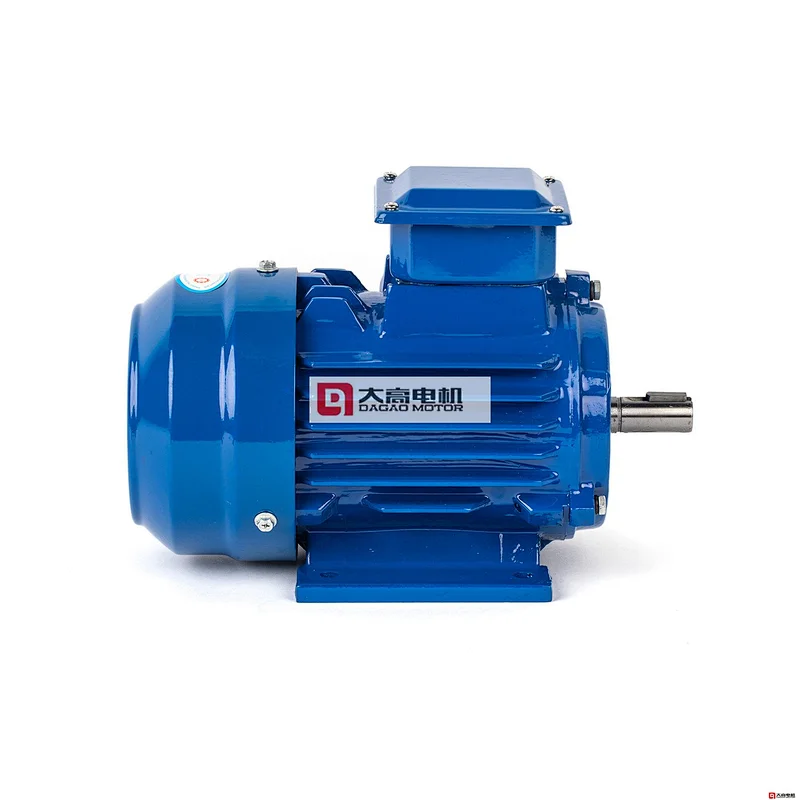 0.75HP/0.55KW YE2-80m1-4 High Efficiency Three-Phase Asynchronous Electric Motor
