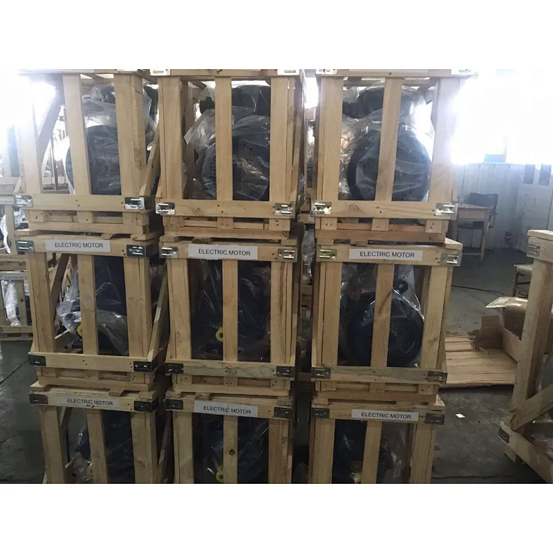 YE2 Series High Efficiency Three Phase Asynchronous Motor