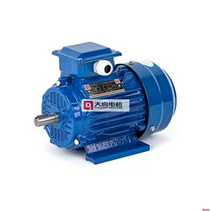 0.35HP/0.25KW YE2-71m1-4 High Efficiency Three-Phase Asynchronous Electric Motor