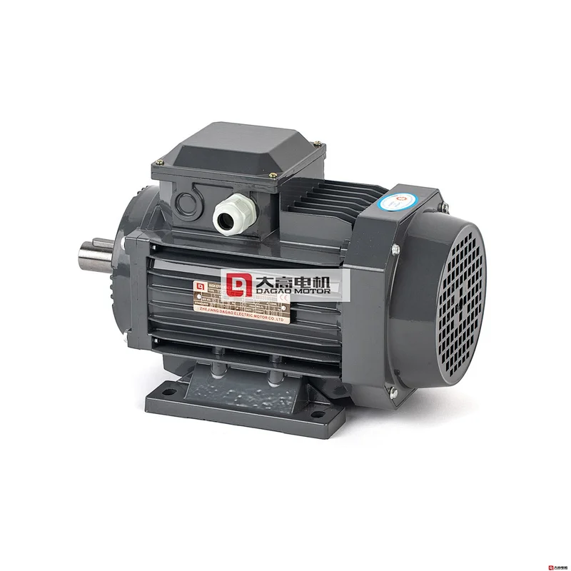1HP/0.55KW YE2-80m2-4 High Efficiency Three-Phase Asynchronous Electric Motor