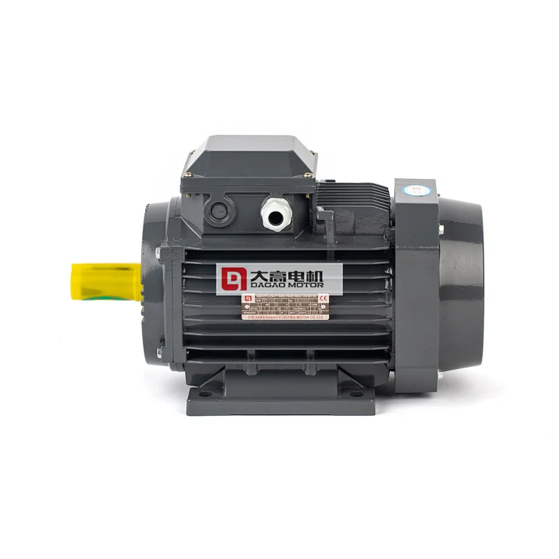 7.5HP/5.5KW YE2-132s-4 High Efficiency Three-Phase Asynchronous Electric Motor