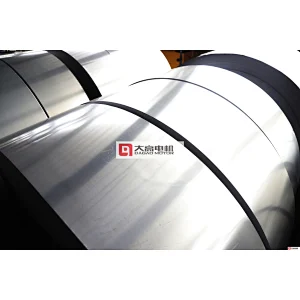 IP55 OR IP65(DUST ZONE 21) 155F YBX3 Series flameproof II CT4 DUST EXPLOSION-PROOF THREE PHASE ASYNCHRONOUS MOTOR