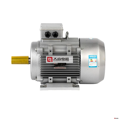 4HP/3KW YE2-132m-8 High Efficiency Three-Phase Asynchronous Electric Motor