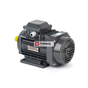 7.5HP/5.5KW YE2-132s-4 High Efficiency Three-Phase Asynchronous Electric Motor