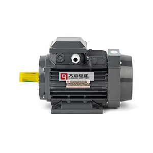 0.5HP/0.37KW YE2-80m1-6 High Efficiency Three-Phase Asynchronous Electric Motor