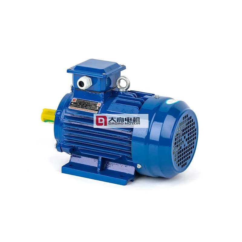 1.5HP/1.1KW YE2-90L-6 High Efficiency Three-Phase Asynchronous Electric Motor