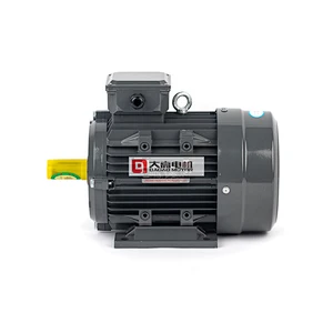 4HP/3KW YE2-100L2-4 High Efficiency Three-Phase Asynchronous Electric Motor