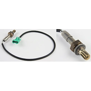 Oxygen sensor