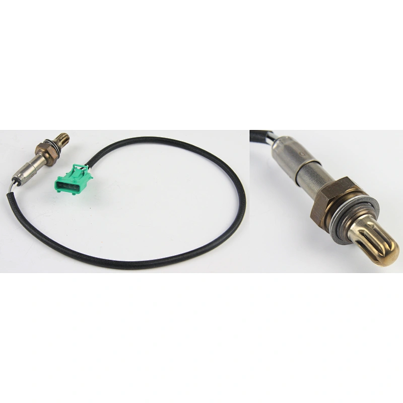 Oxygen sensor