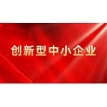 Good news! Shone Lighting passed the qualification of "2022 Innovative SMEs"