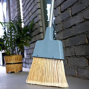 Household Cleaning Long Handle Plastic PET Garden Broom