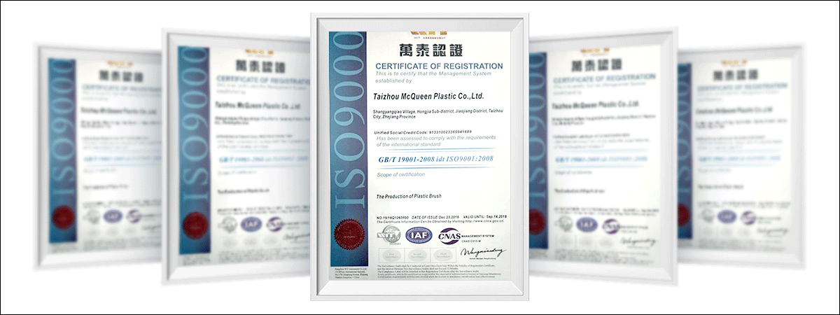 Taizhou Mcqueen Plastic Co., Ltd certificate