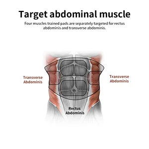 SUNMAS smart abdominal stimulator ems muscle building belt training fitness ems waist massager