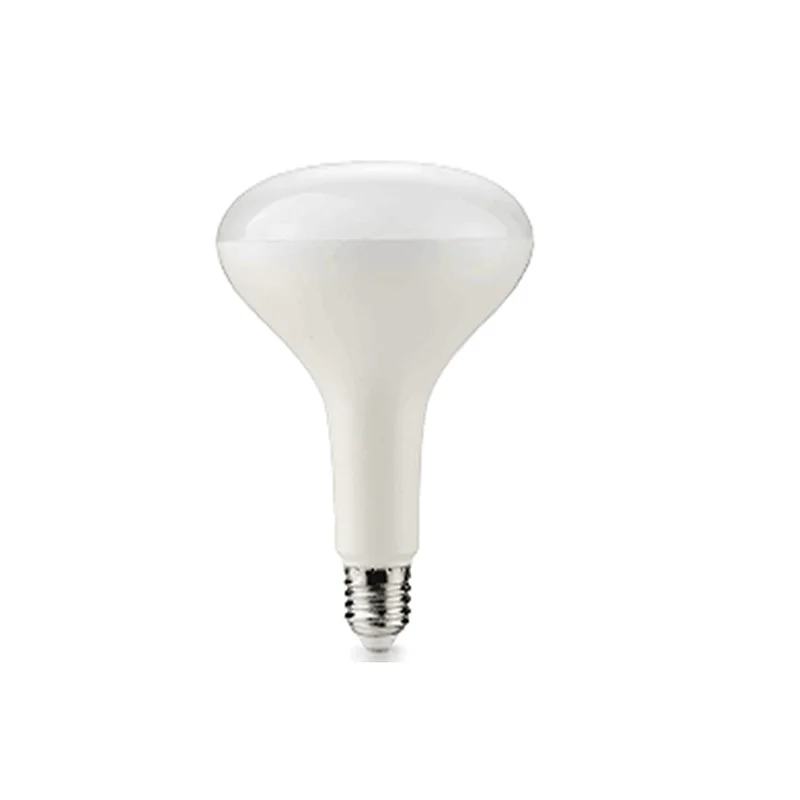 20W E27 R120 LED R spotlight bulb white housing