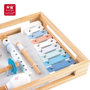 Musical Instrument Set