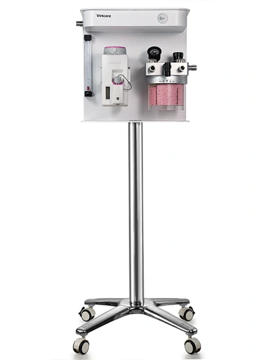 anesthesia veterinary