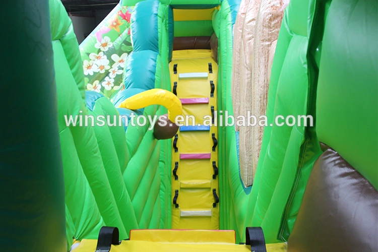 inflatable playground (1).jpg