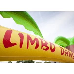 Outdoor Inflatable Advertising Tree Limbo,inflatable limbo dansen,inflatable arch tree limbo dance
