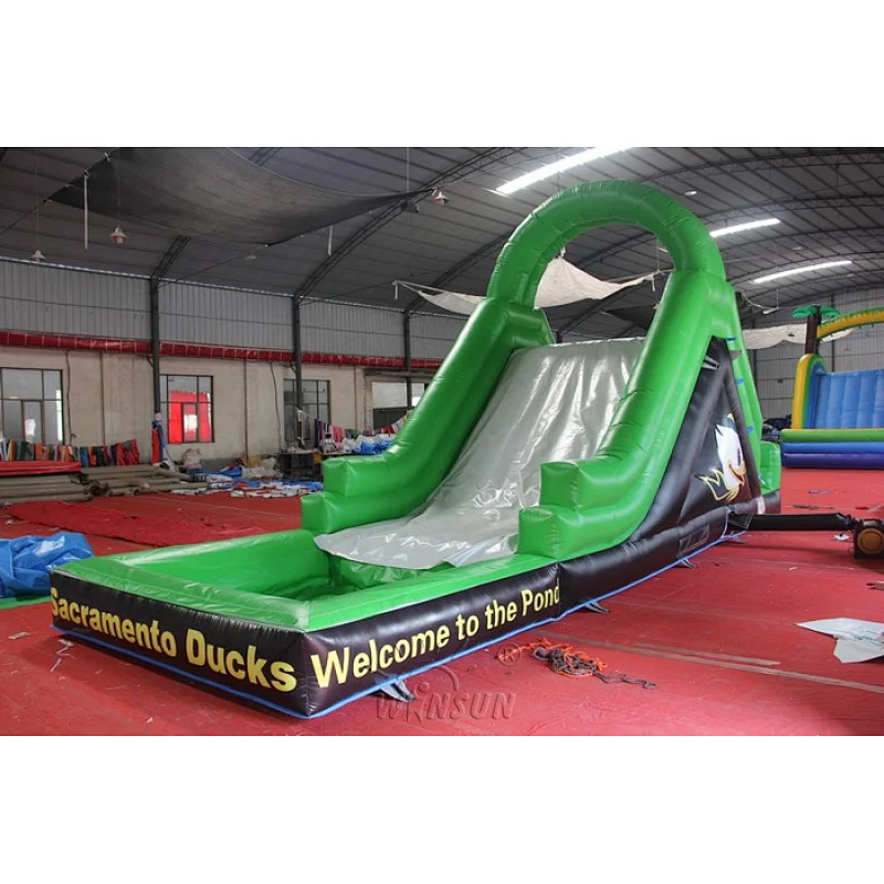 Inflatable Water Slide with Pool