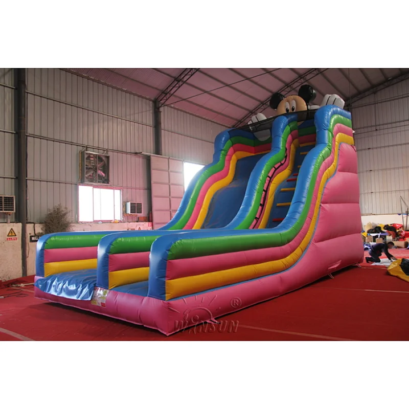 Mickey Inflatable Slide