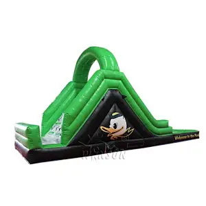 Inflatable Water Slide with Pool