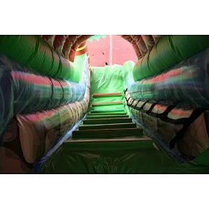 Inflatable lizard Slide