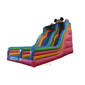 Mickey Inflatable Slide
