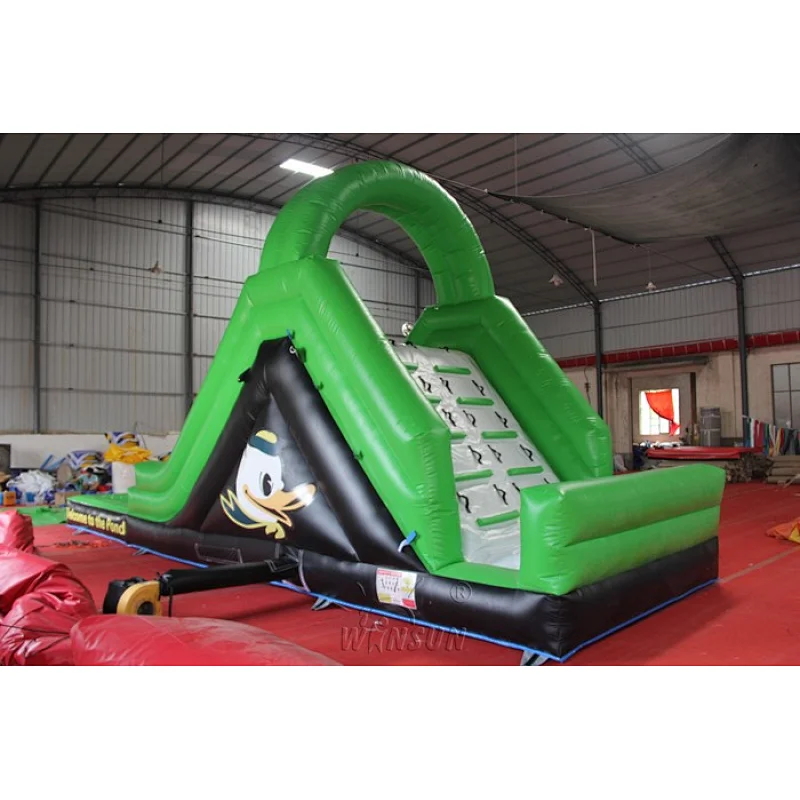 Inflatable Water Slide with Pool