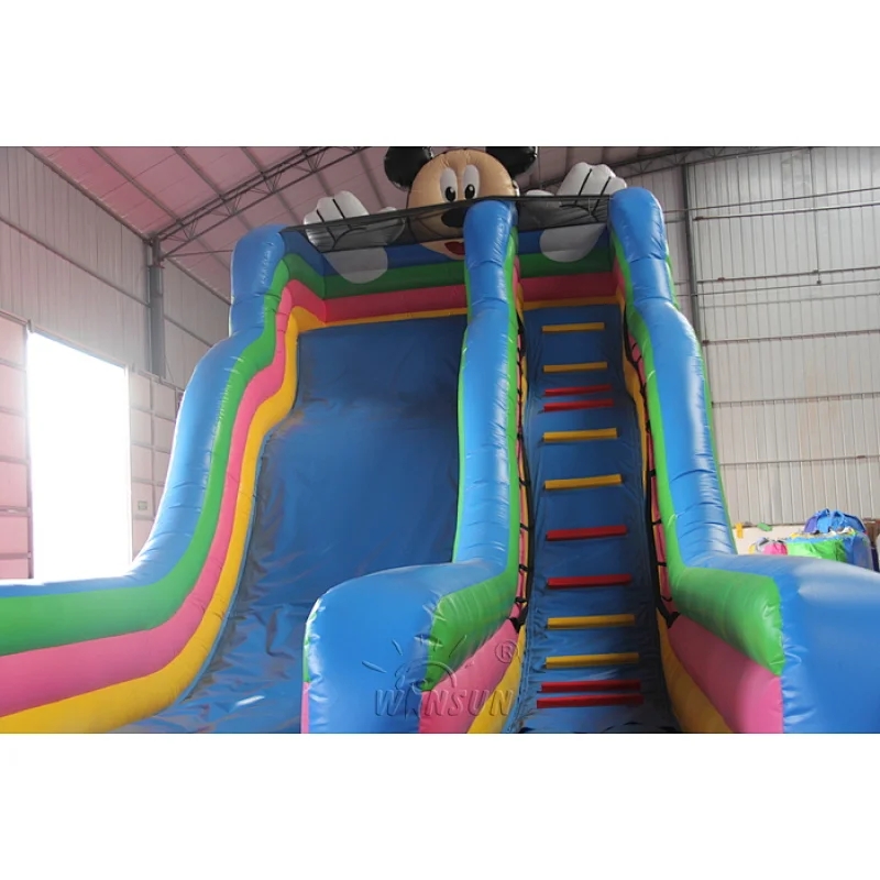 Mickey Inflatable Slide
