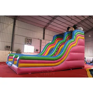 Mickey Inflatable Slide