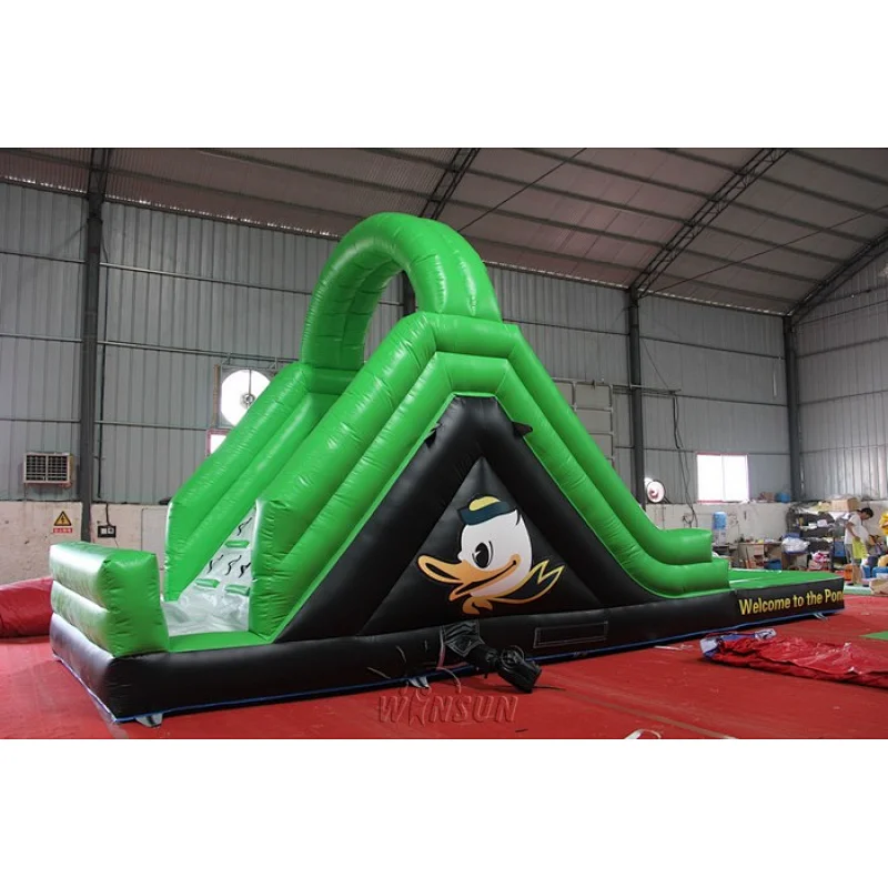 Inflatable Water Slide with Pool