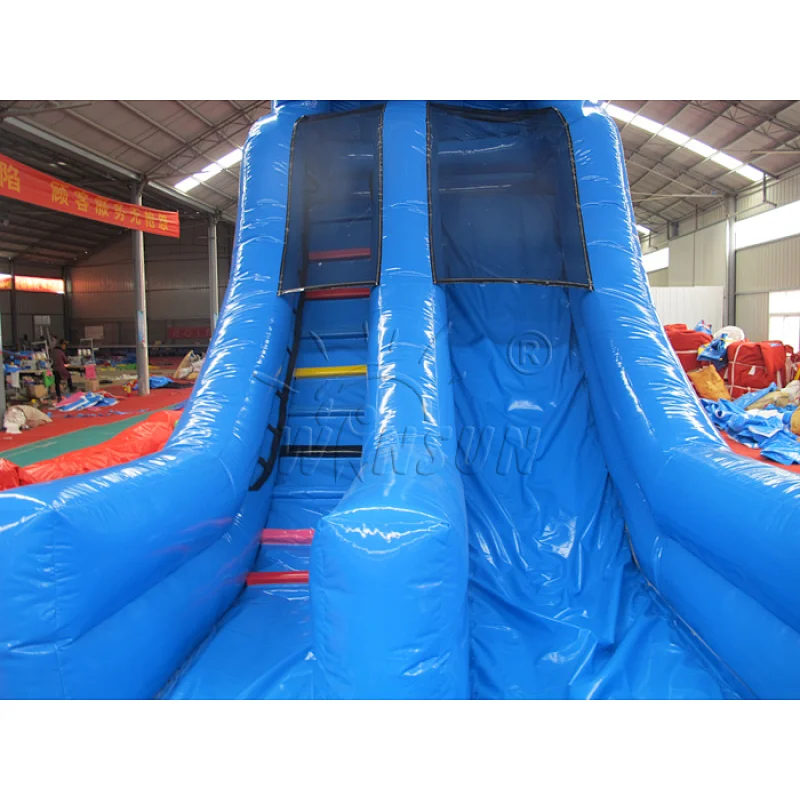 Dolphin Inflatable water slide