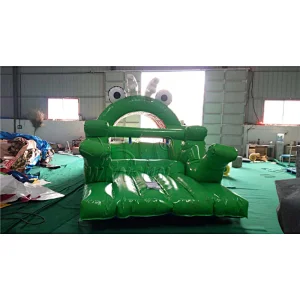 Inflatable Frog Slide For Kids