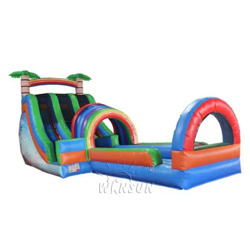 Dual Lane Water Slide with pool