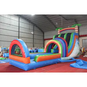 Dual Lane Water Slide with pool