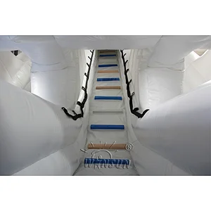 Inflatable Polar Bear Slide