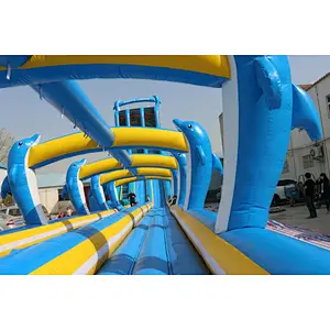 Blue Dolphin large water slide