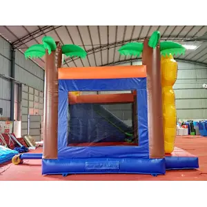 Tom and Jerry Inflatable Bounce House