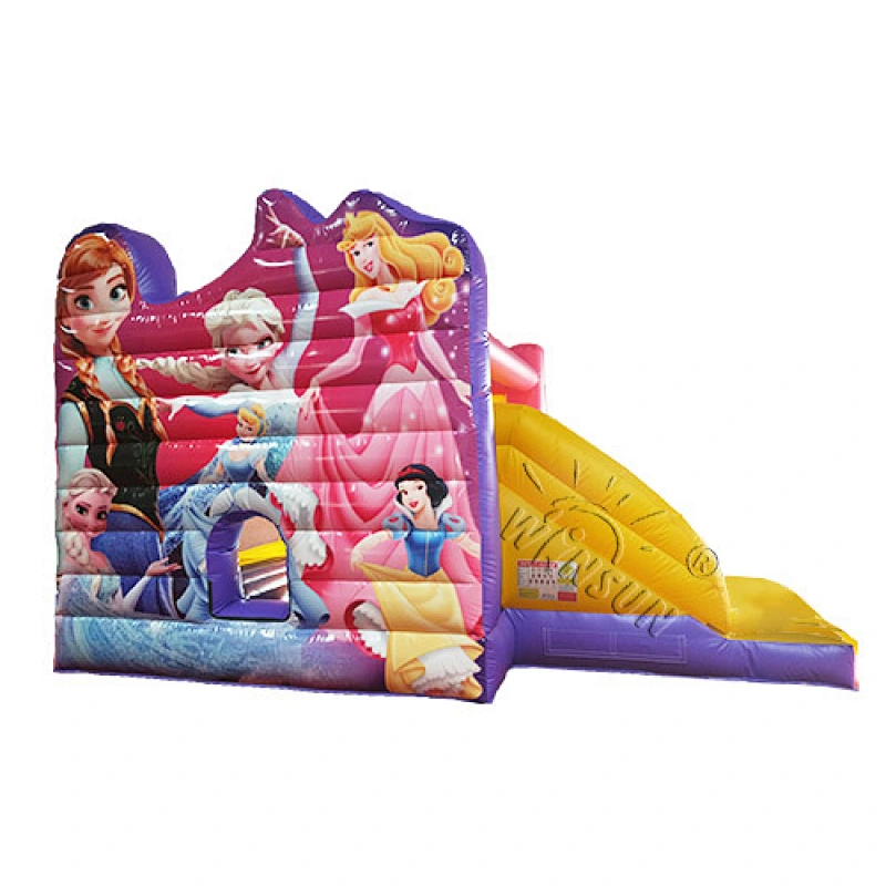 Inflatable Moonwalk with Slide
