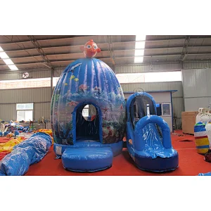 Inflatable Bounce Castle & Slide