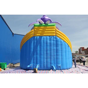 Octopus Inflatable water slide
