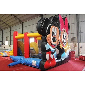 Inflatable Moonwalk with Slide