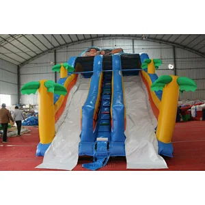 Moana Inflatable Water Slide