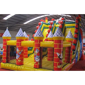 Giant Inflatable Slide with Bouncer