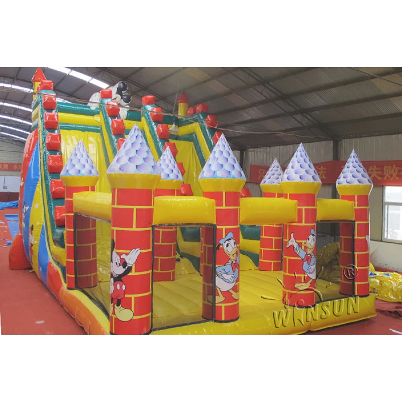 Giant Inflatable Slide with Bouncer