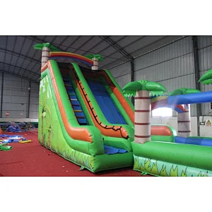 Giant inflatable water slide
