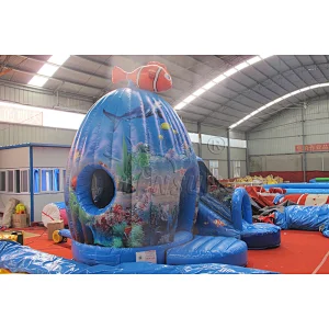 Inflatable Bounce Castle & Slide